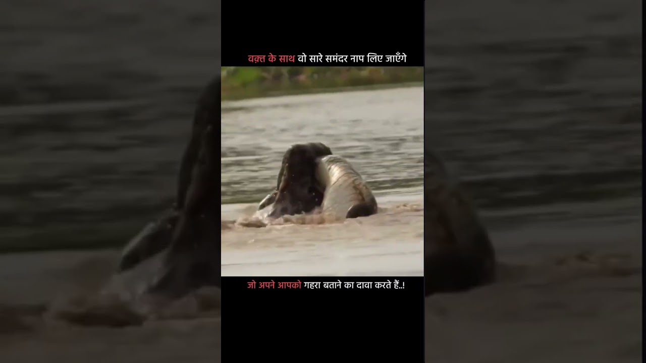 π₯ Attitude Sigma Collection | Trendy Shorts & Viral Attitude Status