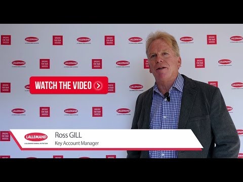 Employee interview - Ross Gill, Global Key Account Manager