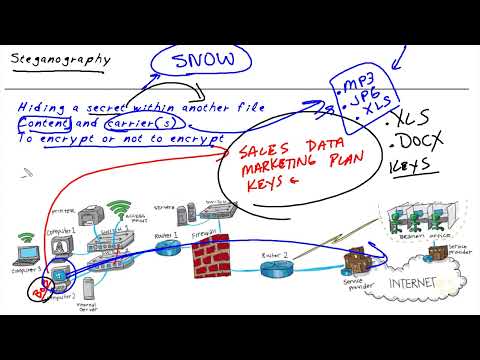 51 Steganography with OpenPuff || OpenPuff Steganography | kali Tutorial Steganography || OpenPuff