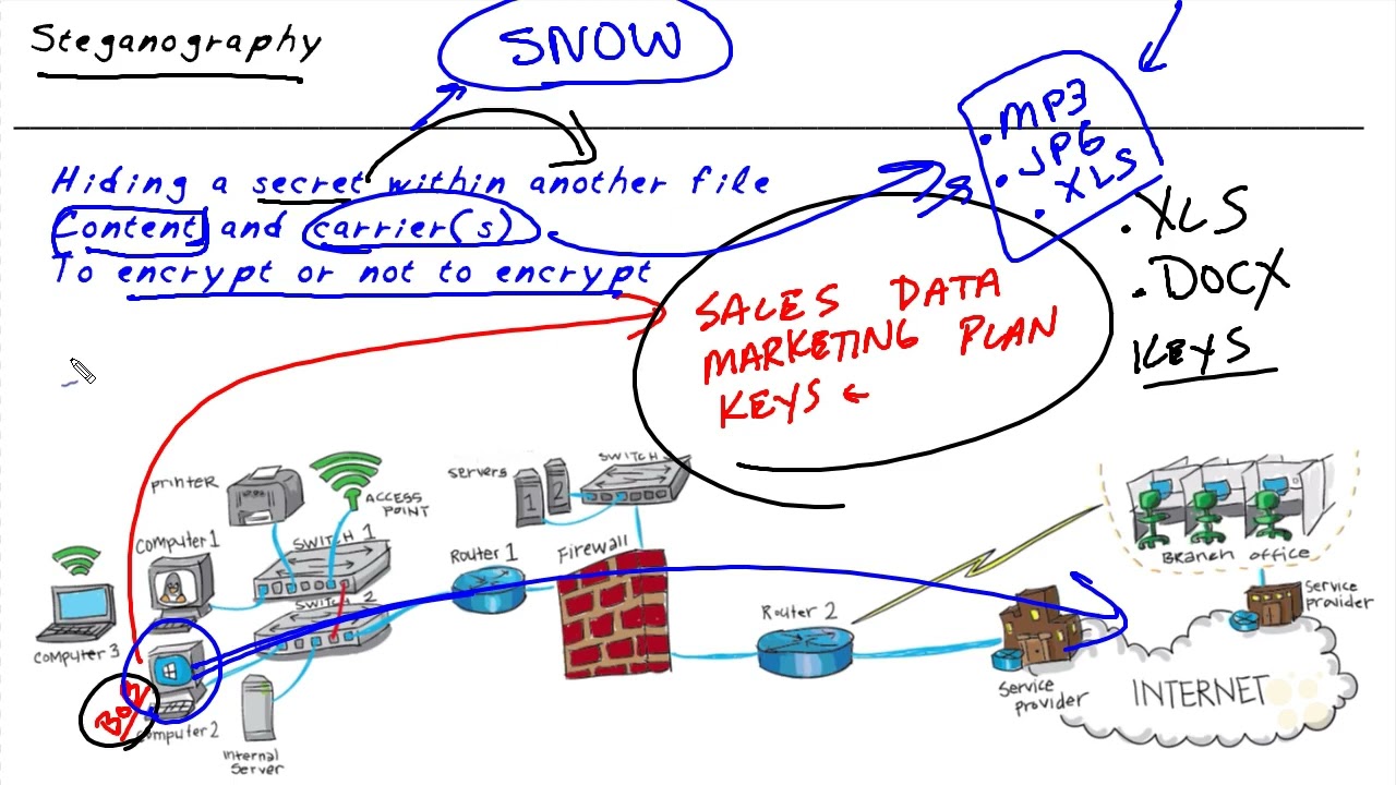 51 Master Steganography with OpenPuff on Kali Linux | Step-by-Step Tutorial 🔐