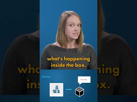 Black Box vs. Explainable AI