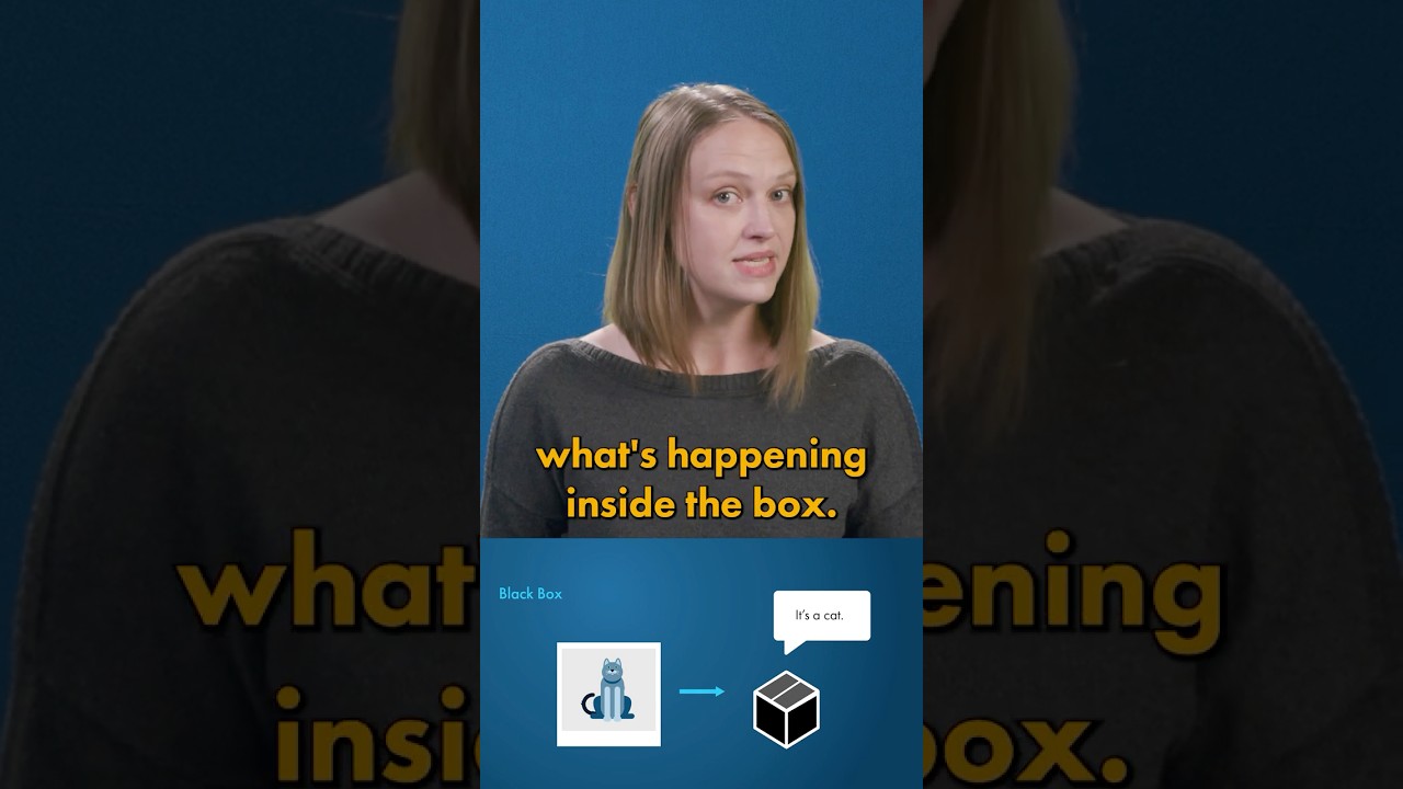Black Box vs. Explainable AI: Understand the Key Differences ๐ค