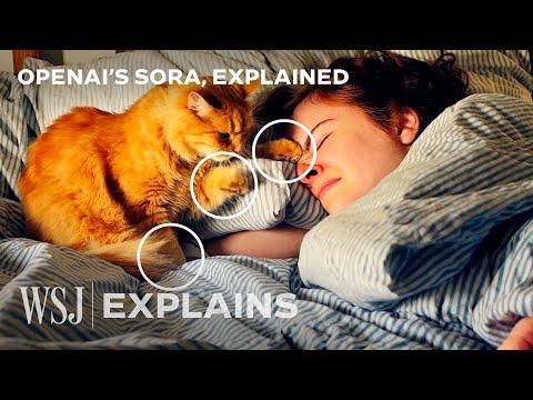 OpenAIโs Sora: How to Spot AI-Generated Videos | WSJ