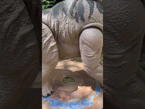 2025 Mattel Jurassic World Rebirth " Giant Titanosaurus " 23.000 $ #dinosaurtoys #dinosaur #shorts