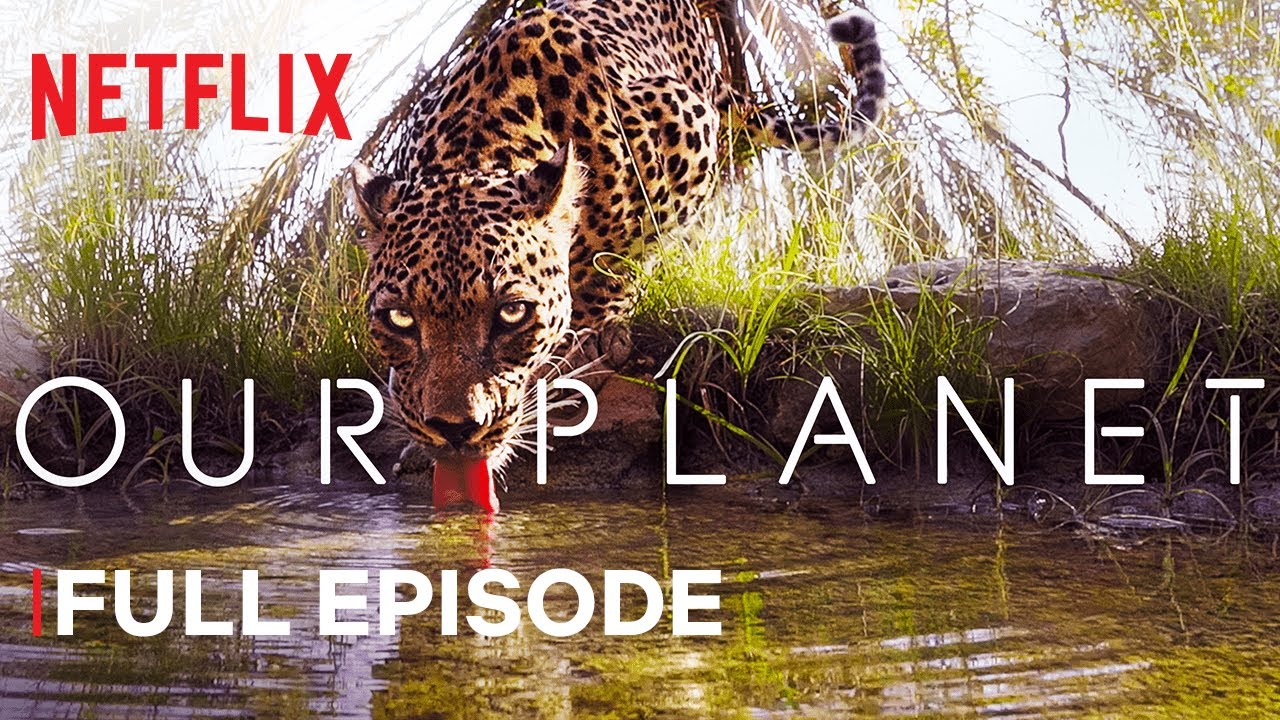 Our Planet 🌍 | From Deserts to Grasslands | Full Episode on Netflix