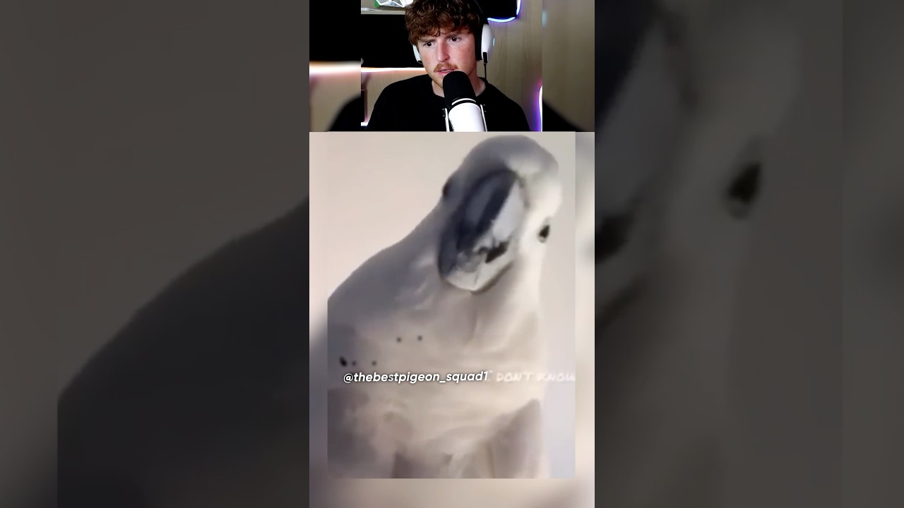Did He Really Answer?! 😲