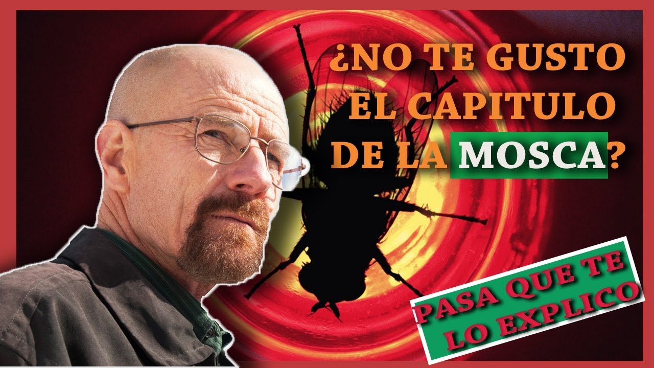 Breaking Bad: Análisis del capítulo de la mosca y su significado