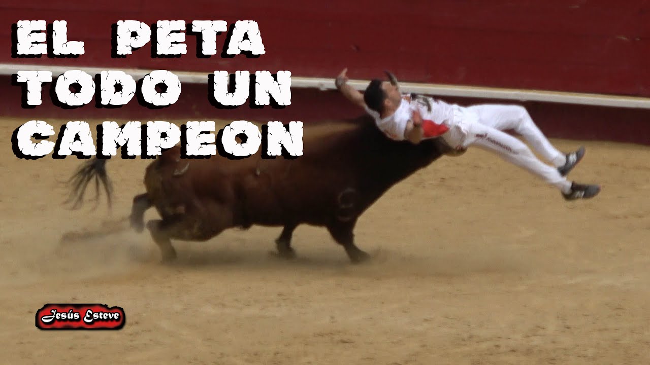 Recortes en Valencia Fallas 2023 🐂