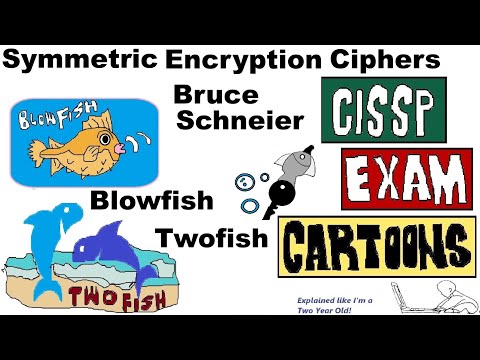 CISSP Cyber Security: Encryption Algorithms (Twofish vs Blowfish) #twofish #blowfish #encryption