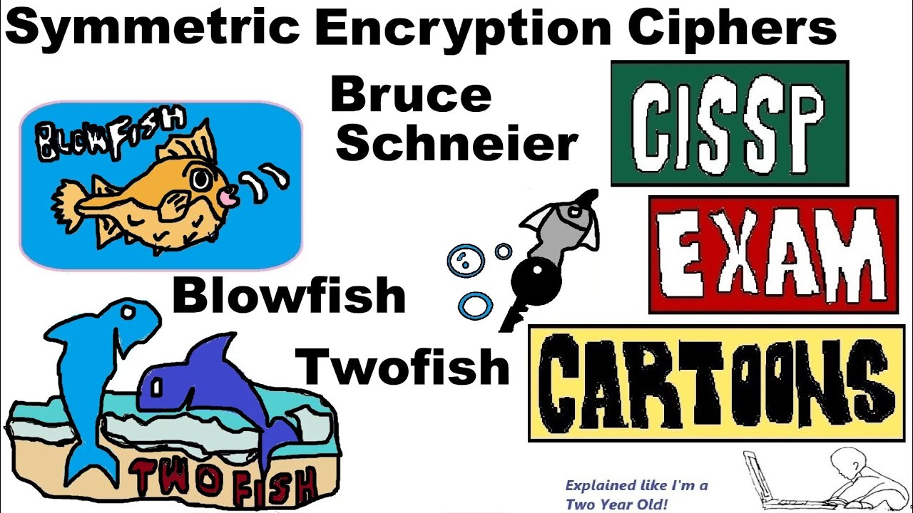 CISSP Cyber Security: Comparing Twofish and Blowfish Encryption Algorithms π