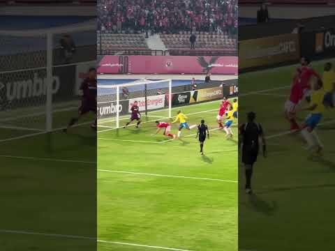 حرام عليك يا هاني 🦅⚽️ الأهلي وصن داونز