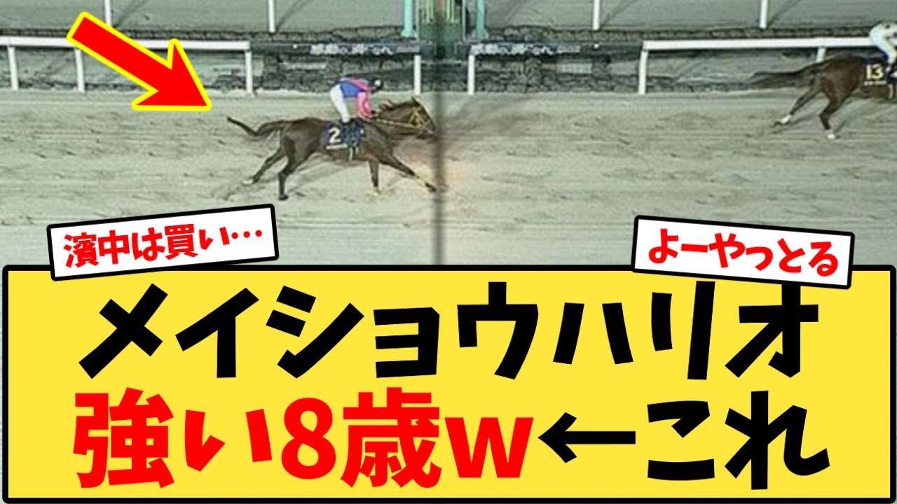 メイショウハリオ8歳の強さを振り返る【競馬反応集】