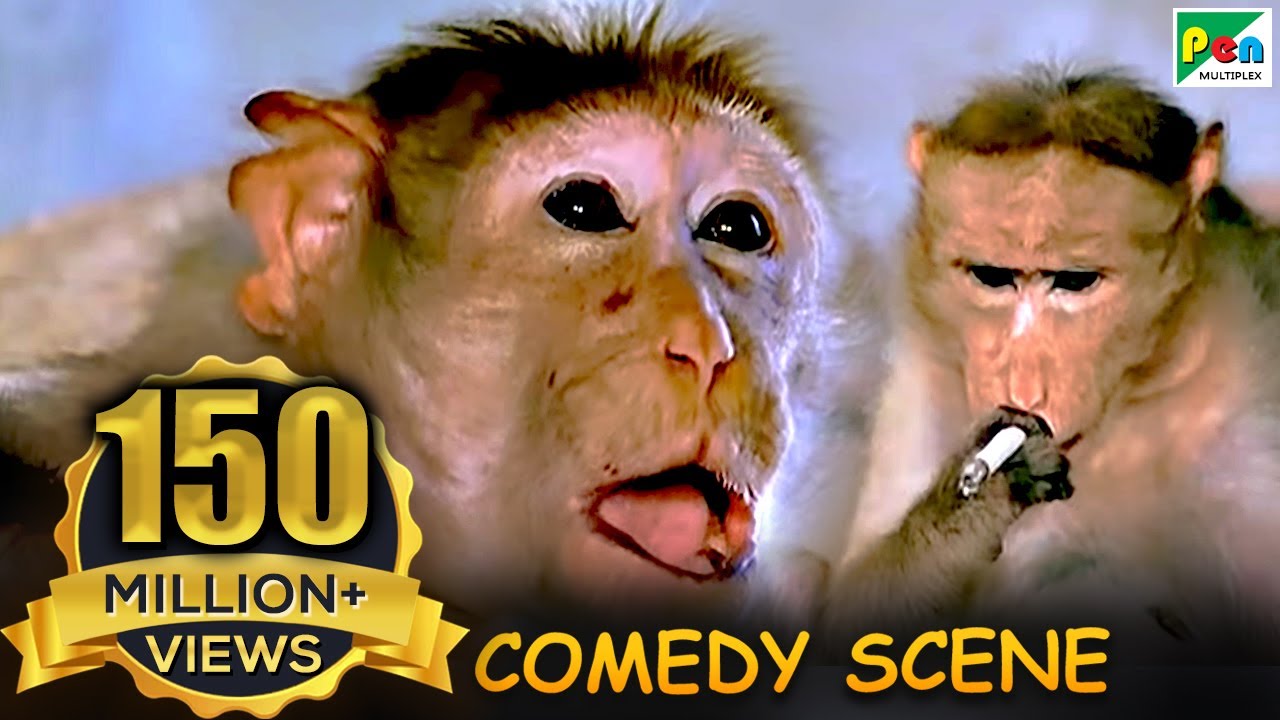 Funny Monkey Scene from Jawab Hum Denge 🐒