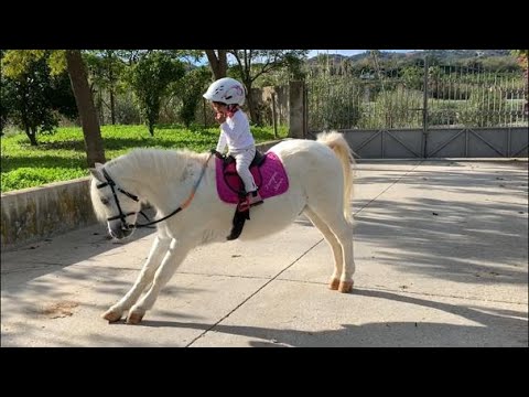 Adorable Toddler Riding Her Pony 🐴