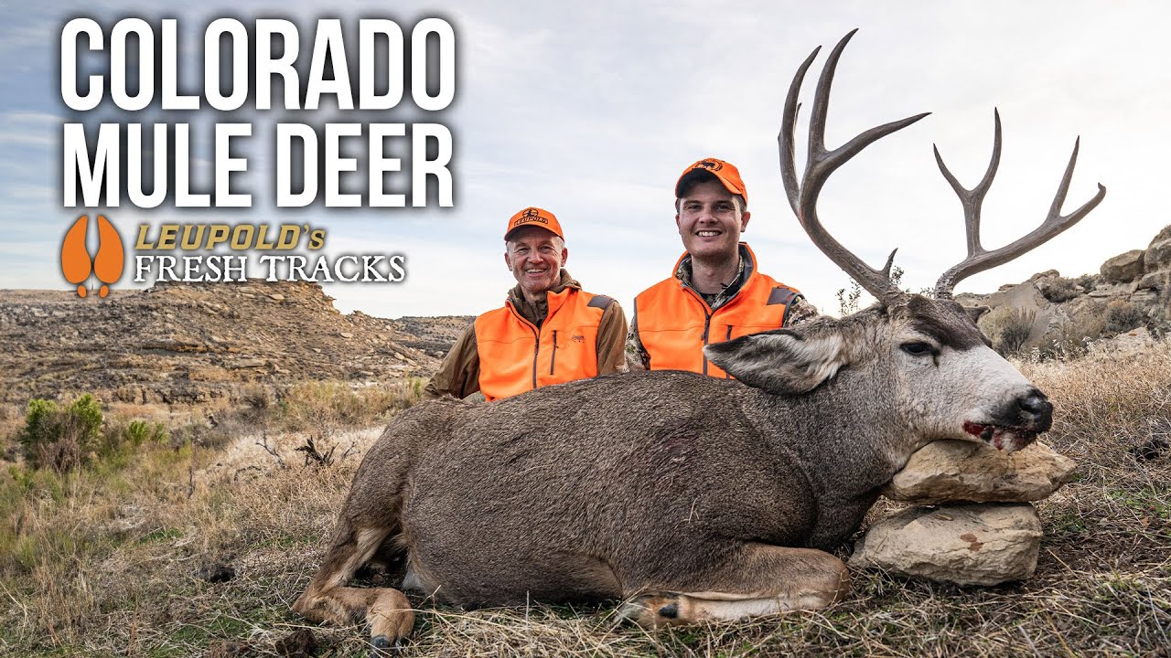 Epic Father-Son Mule Deer Hunt in Colorado 🦌 | 20 Years in the Making