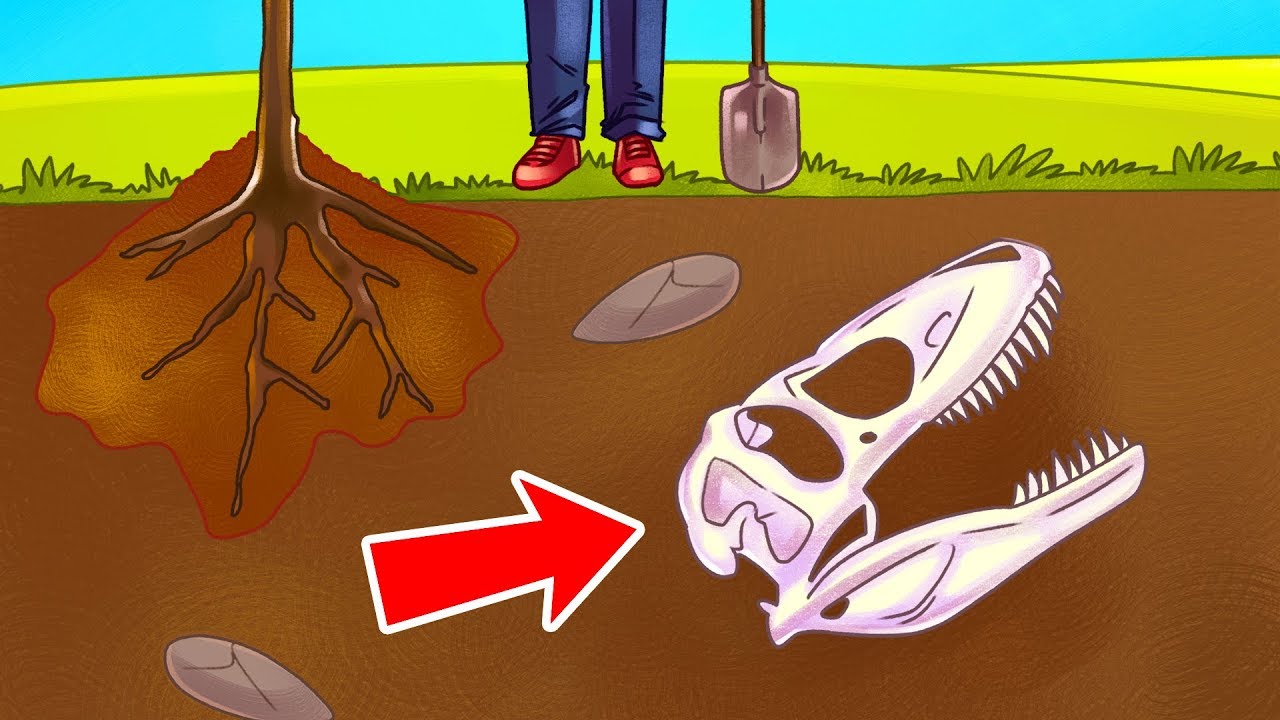 Земля 4,6 млрд лет назад: что было до людей 🌍