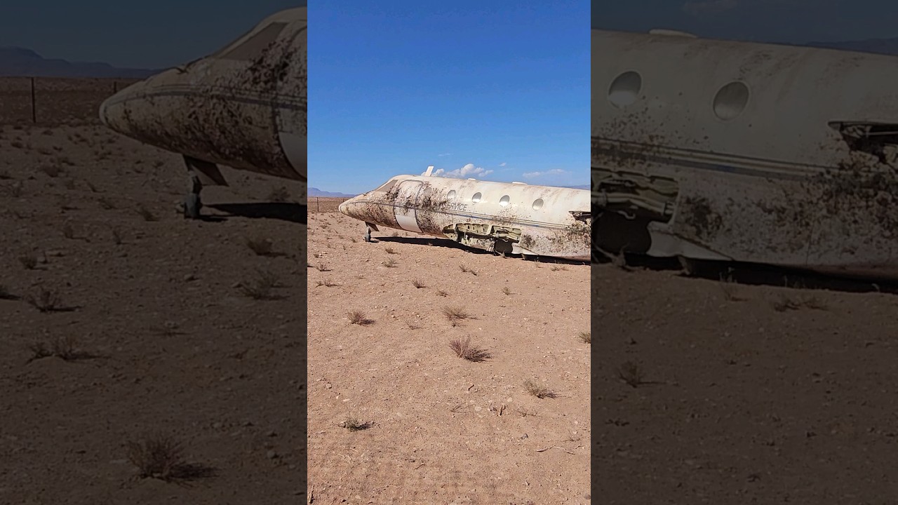 Au Cœur du Désert : Plongée dans le Film d'Horreur Culte des Années 2000 🎬