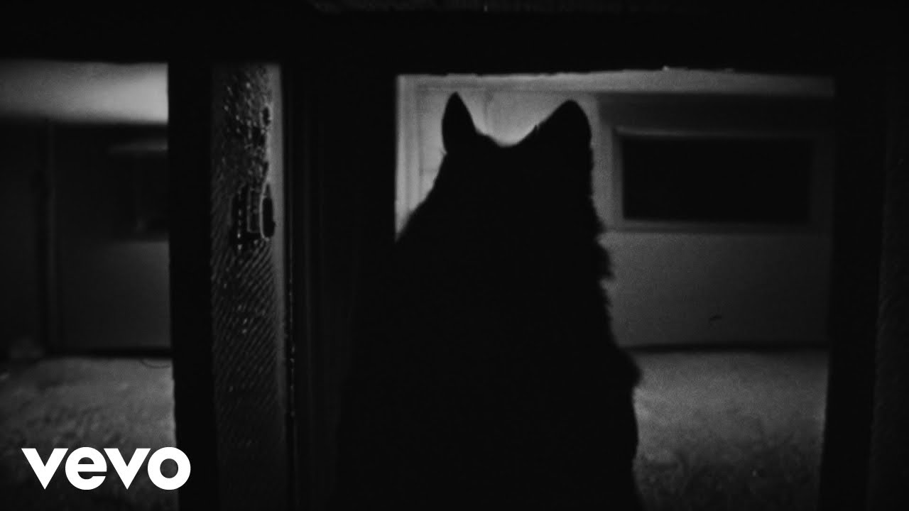 MACE, Izi & Centomilacarie Drop Visual for 'METEORE' ft. Gemitaiz 🎶