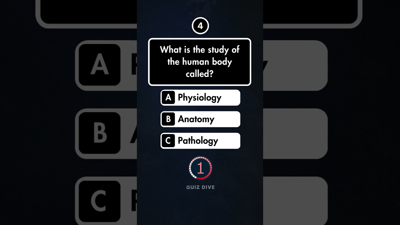 What Is the Study of Earthquakes? 🌍