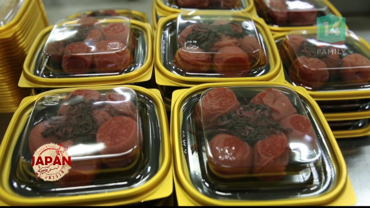 Wakayama ตอนที่ 2 - Japan Origin (21 เม.ย.61) 🇯🇵