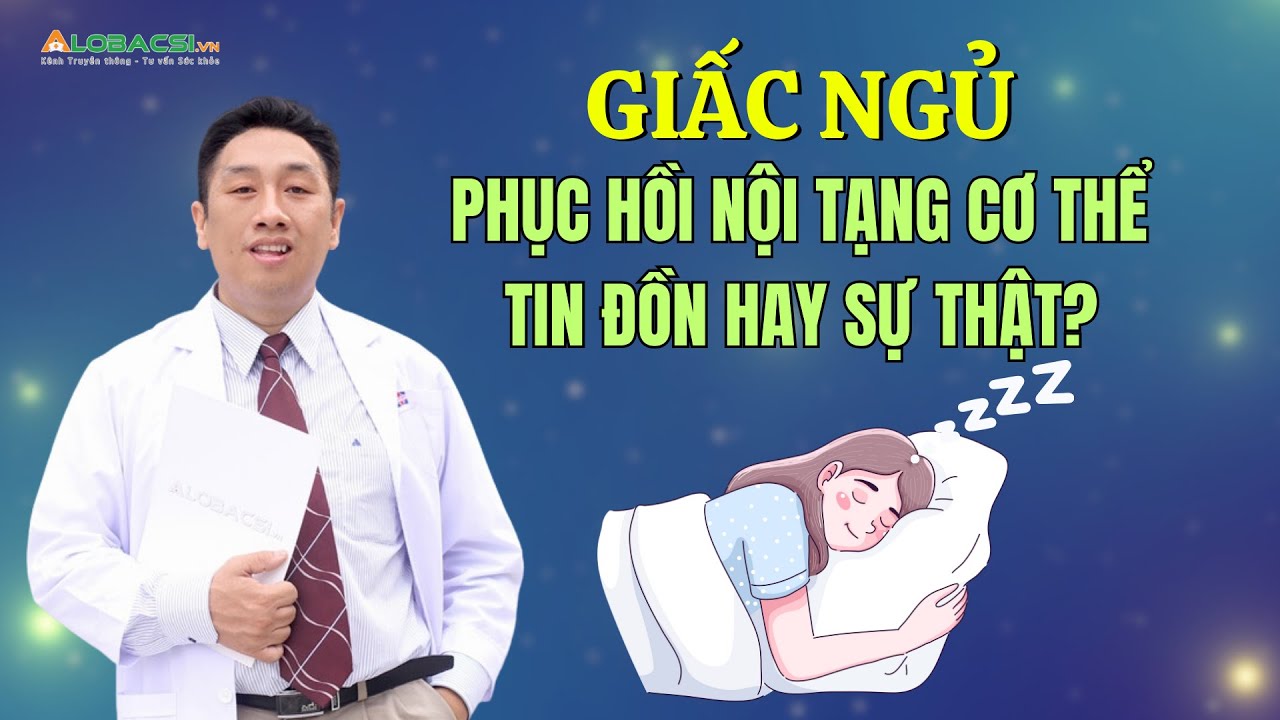 Giấc Ngủ Phục Hồi Nội Tạng: Thật Hay Đùa? 💤
