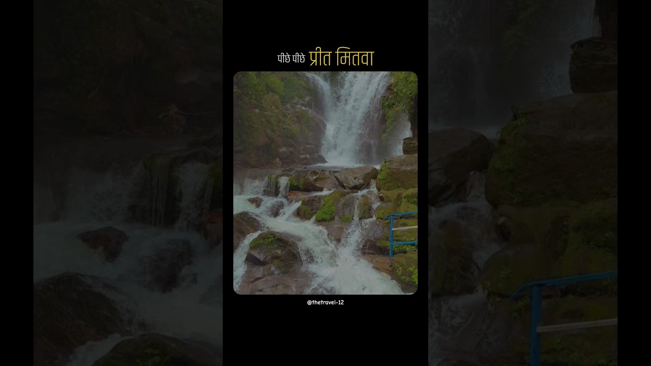 Aage Aage Chale Hum, Piche Piche Geet Mitwa 🎶