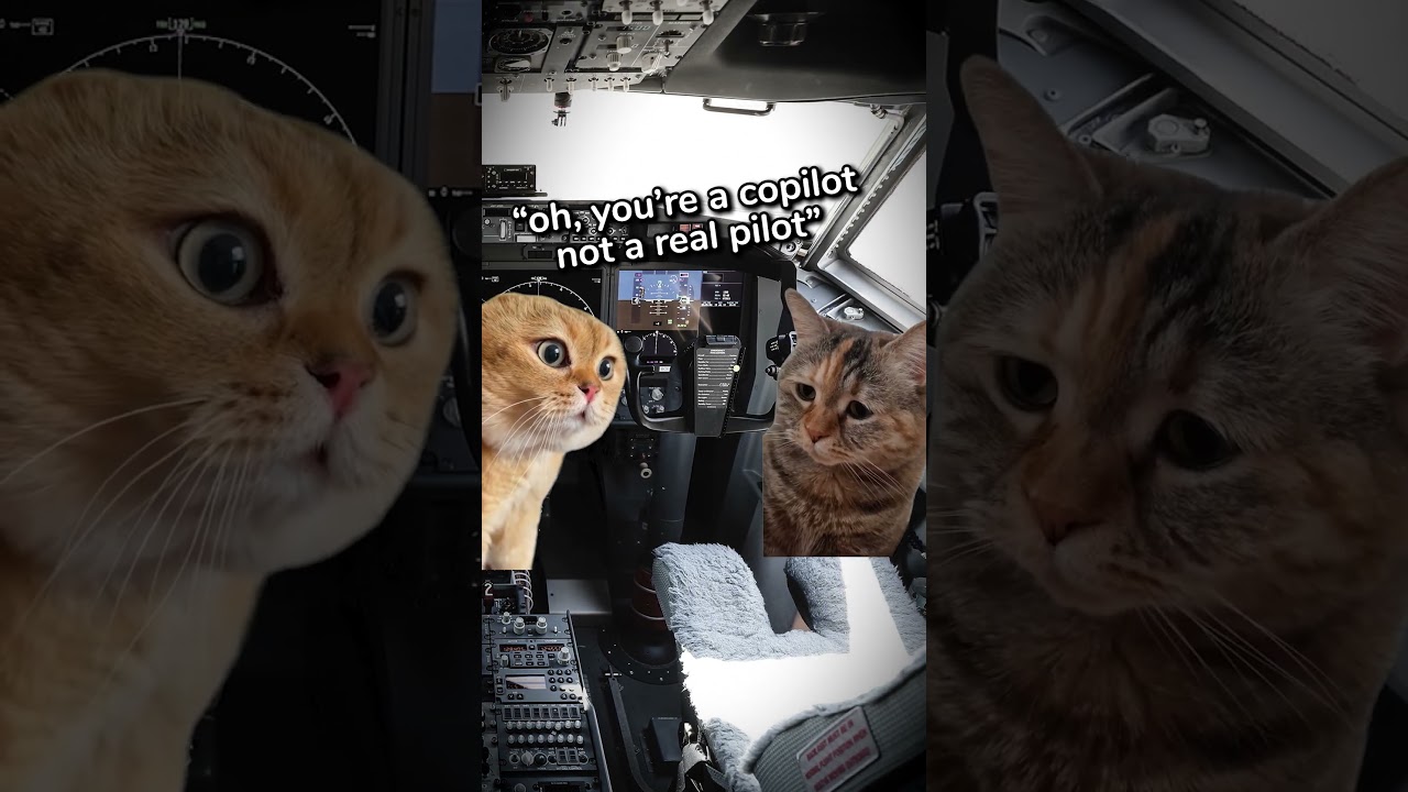 The Lonely Life of a Pilot ✈️