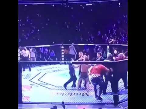 Islam and Zubaira attack McGregor #UFC229