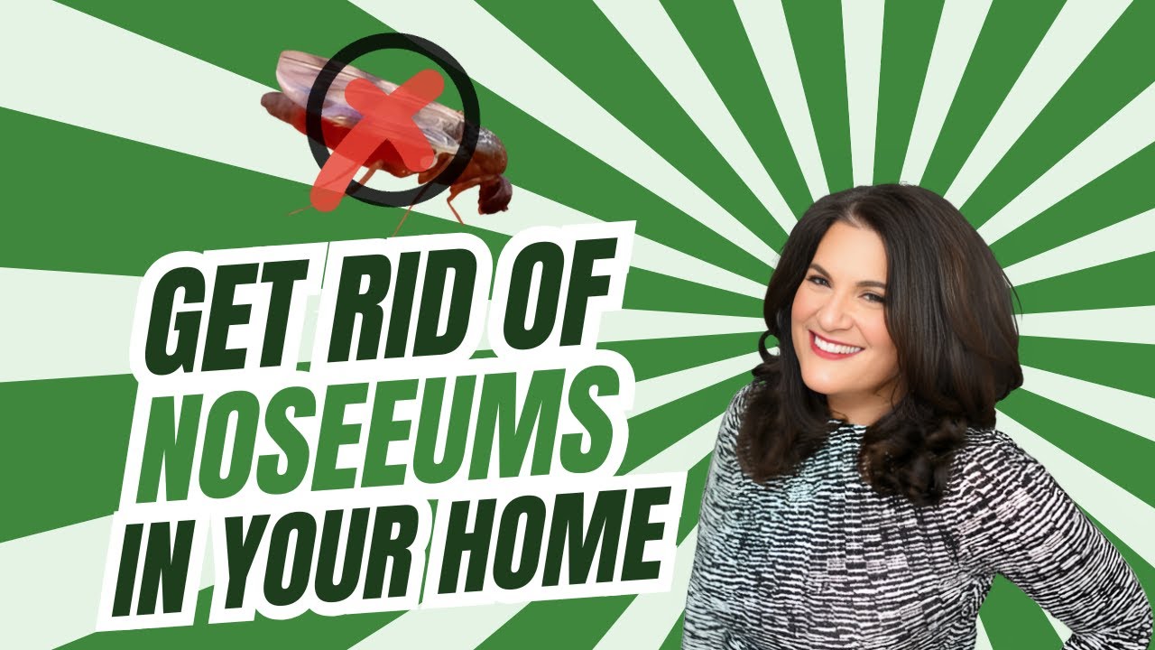 Effective Ways to Eliminate NoSeeUms at Home 🦟
