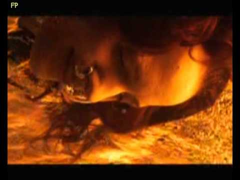 Keine Macht den Drogen (Die "Freitagspalette"