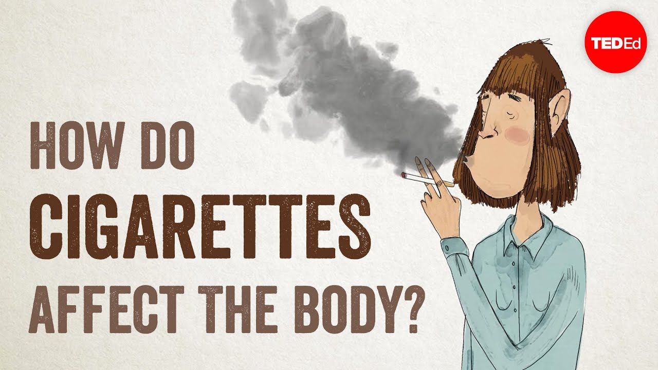 The Surprising Effects of Cigarettes on Your Body 🚭