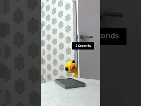 Impossible to put it down 😩 #humor #phone #babyduck