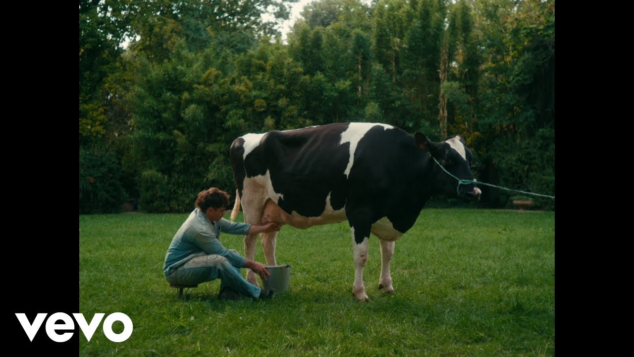 Olly & Juli Perform 'Questa Domenica' - Stunning Visual Video 🎶