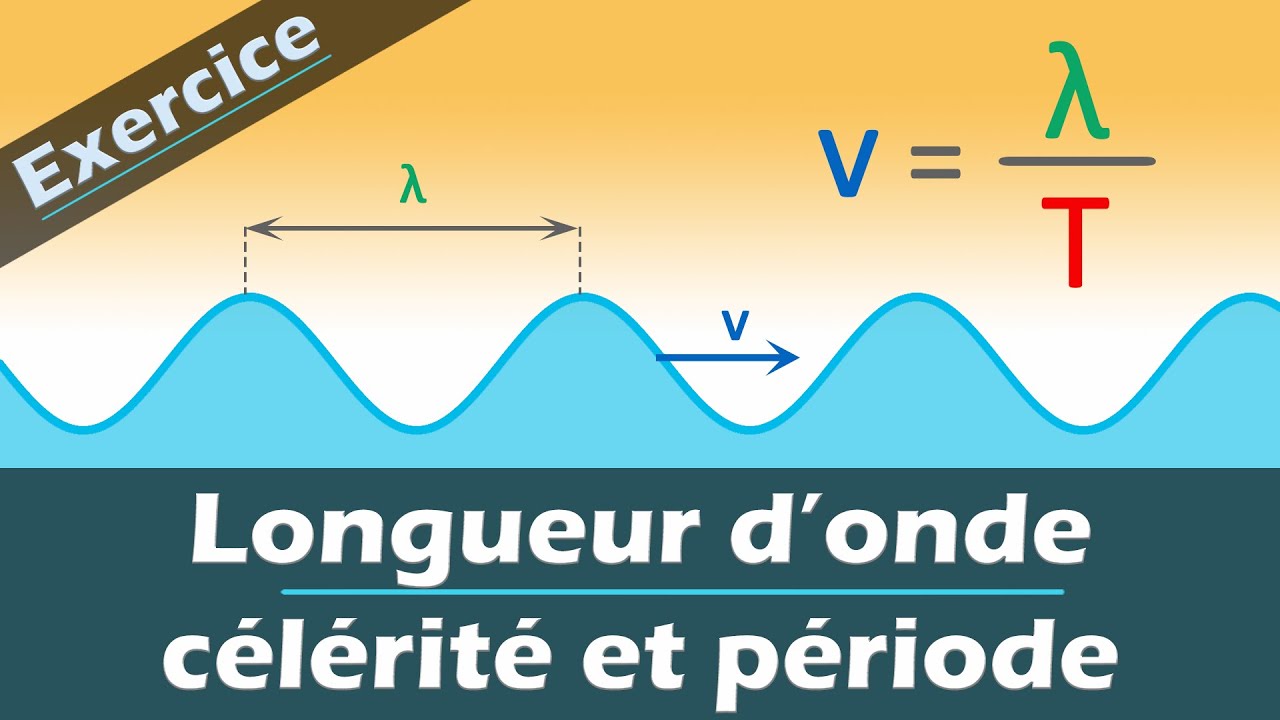 Ondes mécaniques : longueur d'onde, célérité & période 📝