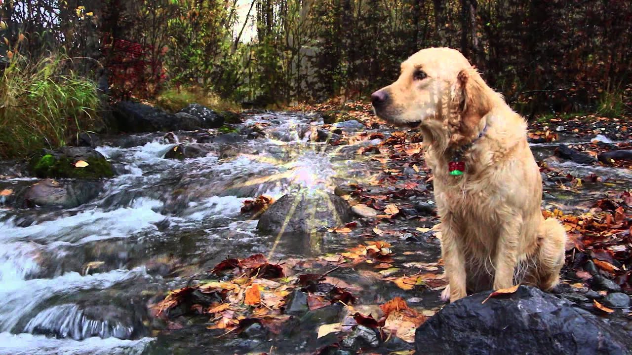 Look Out Any Window 🪟