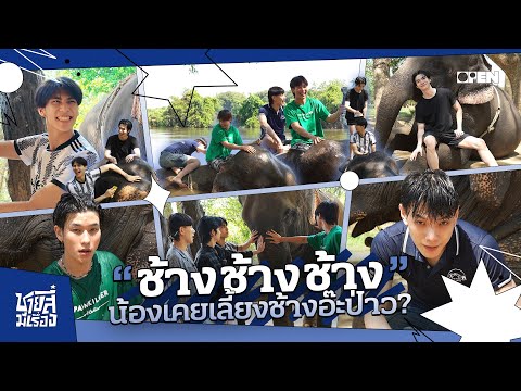[ENG SUB] ช้าง ช้าง ช้าง น้องเคยเลี้ยงช้างอ๊ะป่าว ? | ชายสี่มีเรื่อง EP.2