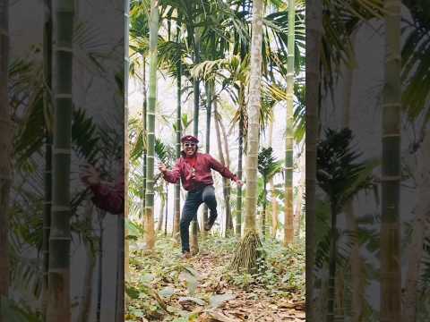 💥🕺Ladki Akeli Tu Bhi Akela🕺💥#mithundadadance#shotrs #mithunchakraborty #dancevideo #shortsvideo 💥🕺💥🙏