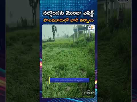 Cyclone Montha Hits Telangana | Heavy Rains Lash Nalgonda, Mahabubnagar, And Multiple Districts