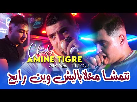Cheb Amine Tigre نتمشا معلاباليش وين رايح Denya Welat Massaleh © Avec Amine Titou | Rai Jdid 2025
