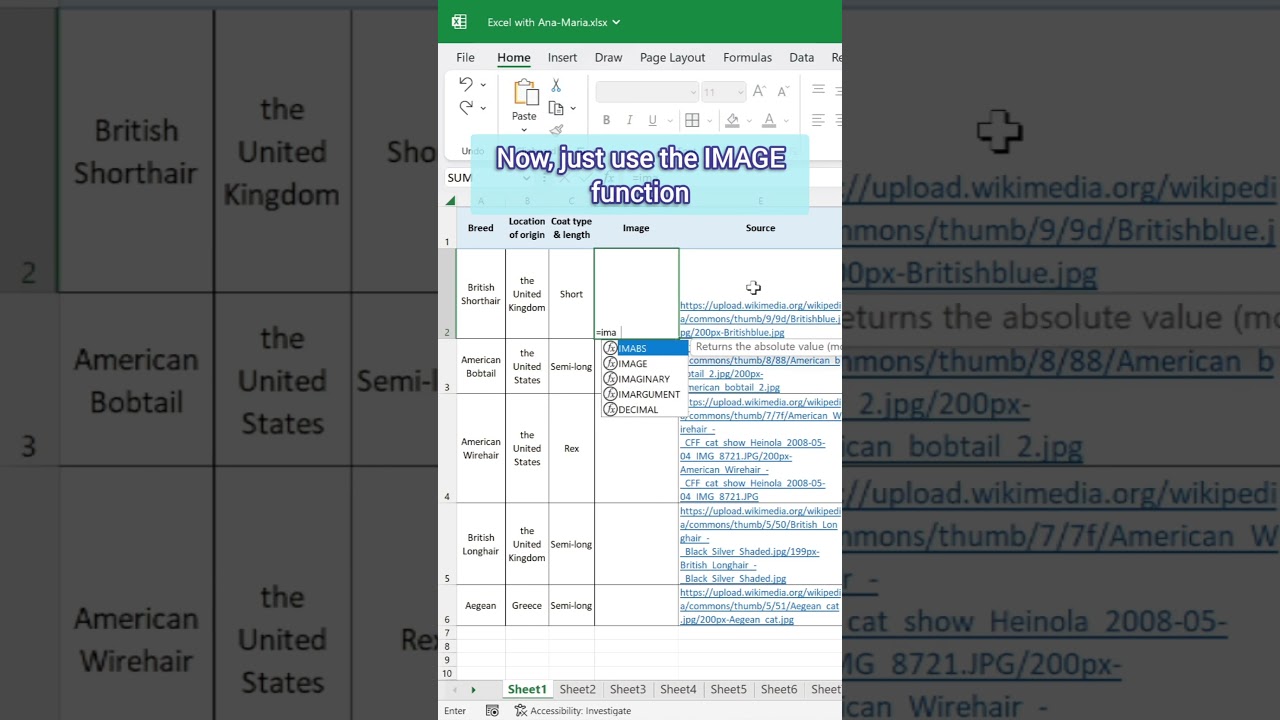 Add Images in Excel with IMAGE Function 📊