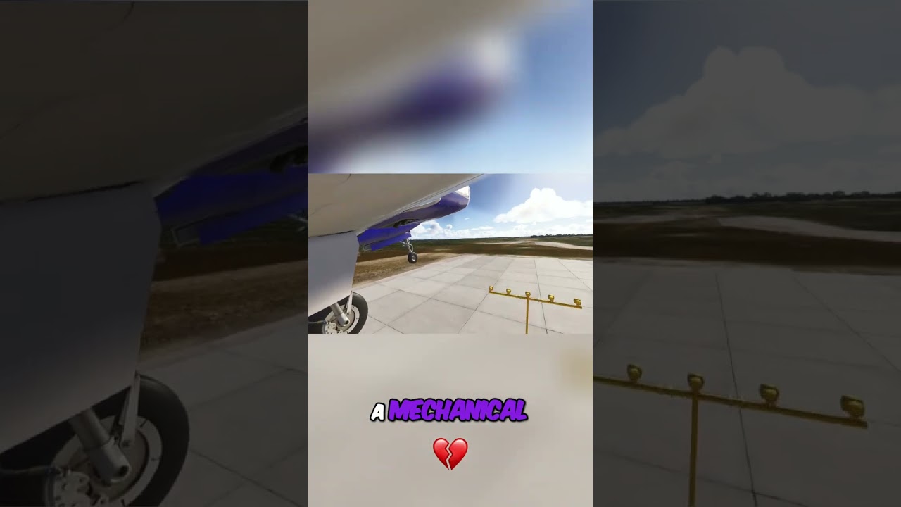 Aaliyah's Plane Crash: What Went Wrong ✈️