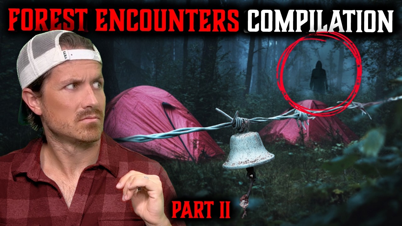 Top 5 Bingeable Forest Horror Stories 🌲