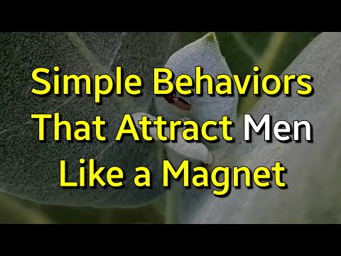 10 Simple Behaviors That Attract Men Like a Magnet...|Psychology Amazing Facts