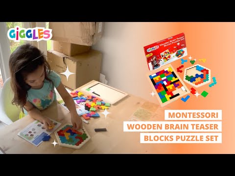Montessori Brain Teasers Block Puzzles Set