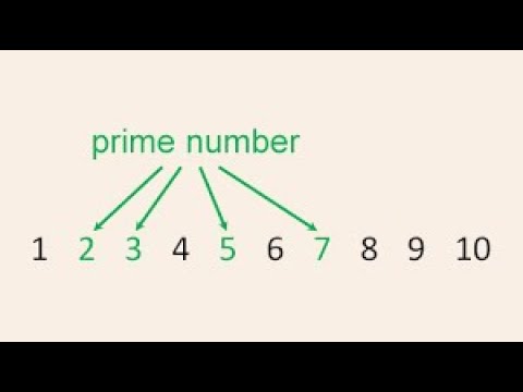 Millar Rabin Algorithm | Primality Testing | Cryptography | BSc CSIT | Video Explained in Nepali