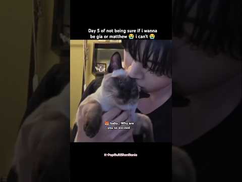 idk if i wanna be gia or matthew 😭😭🤏🏽 #zerobaseone #seokmatthew #kpop #cats #shorts #fyp #funny #zb1