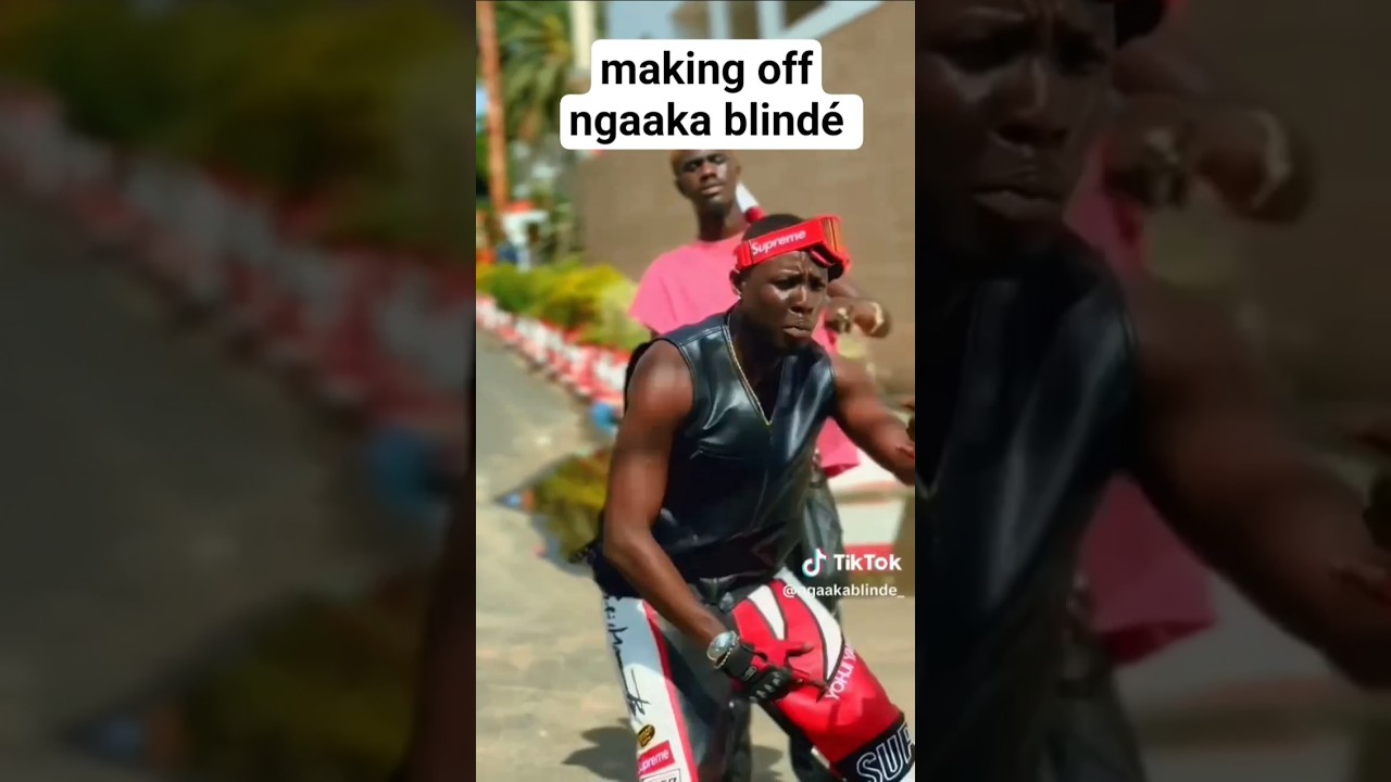 Ngaaka Blindé: Dip Doundou Guiss Collaboration