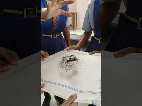 MAGNETIC FIELD OF A BAR MAGNET #physics #trending