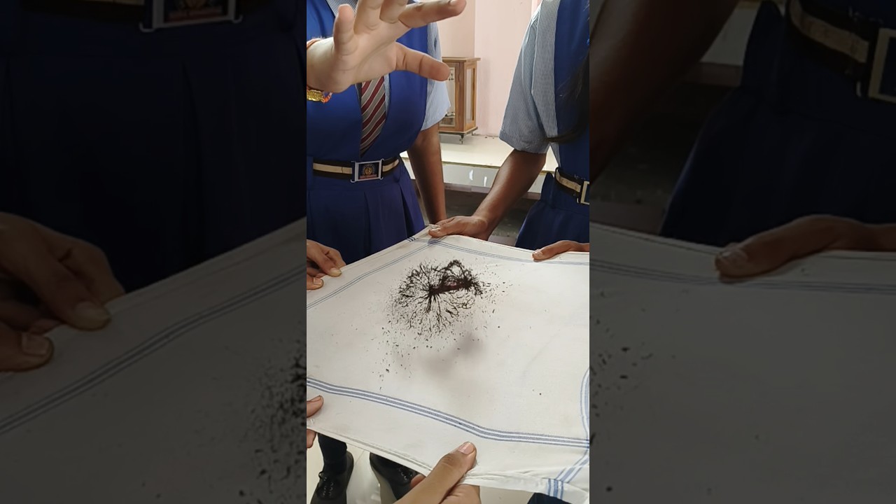 Discover the Invisible Magnetic Field of a Bar Magnet with Iron Filings! π§²