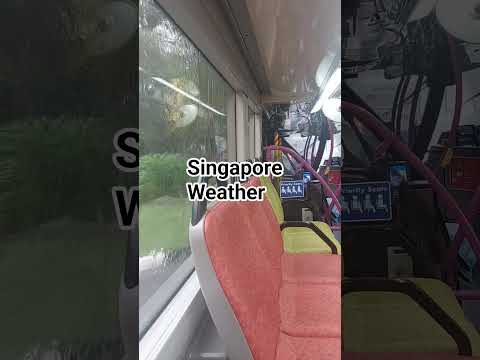 Heavy rain in Singapore #shortvideo #singapore #weather